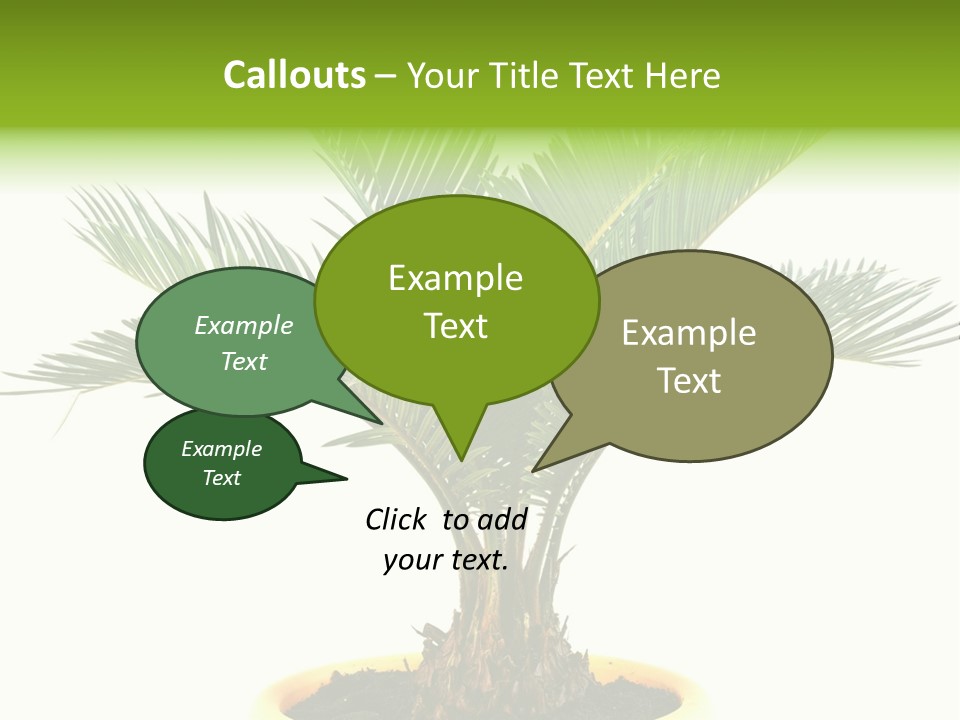 A Palm Tree With A White Background PowerPoint Template