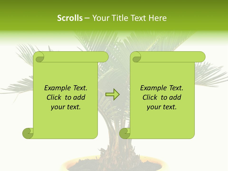 A Palm Tree With A White Background PowerPoint Template