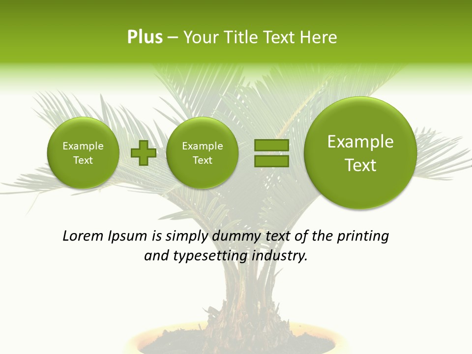 A Palm Tree With A White Background PowerPoint Template
