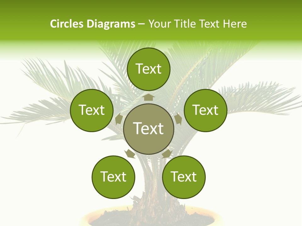 A Palm Tree With A White Background PowerPoint Template