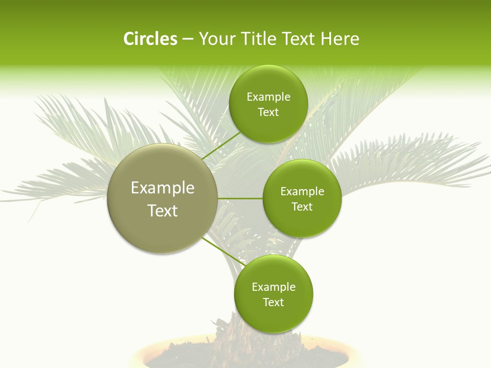 A Palm Tree With A White Background PowerPoint Template