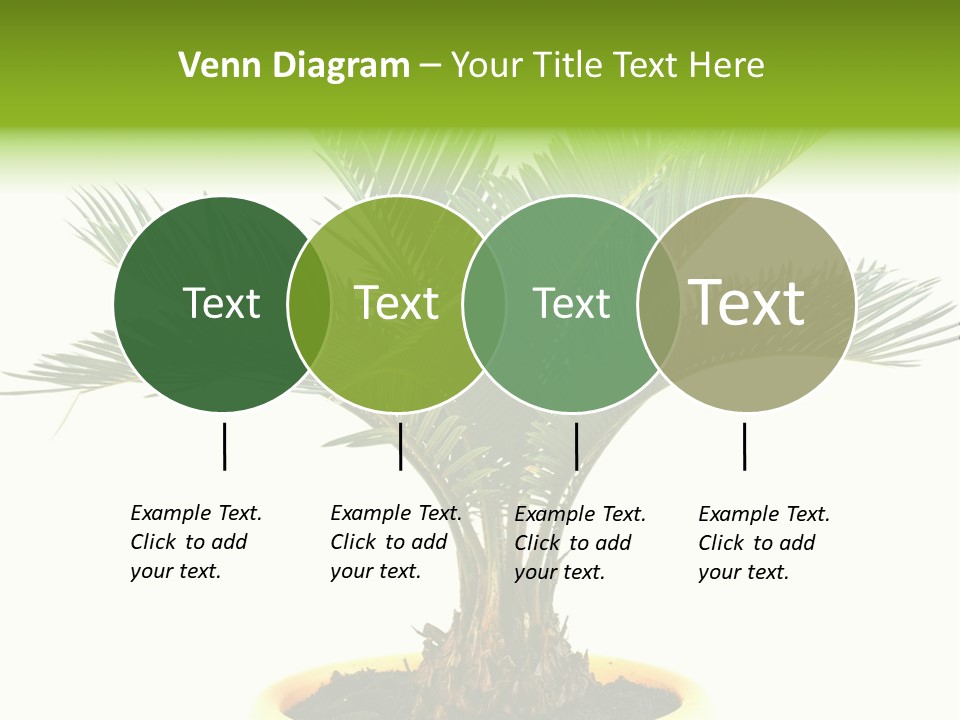A Palm Tree With A White Background PowerPoint Template