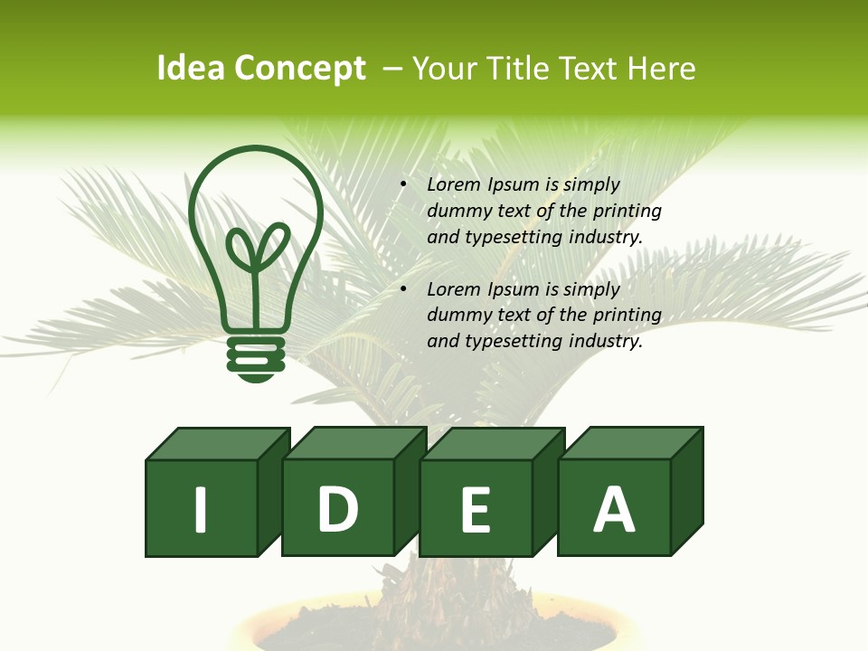 A Palm Tree With A White Background PowerPoint Template