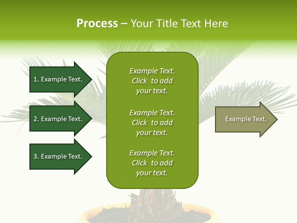 A Palm Tree With A White Background PowerPoint Template