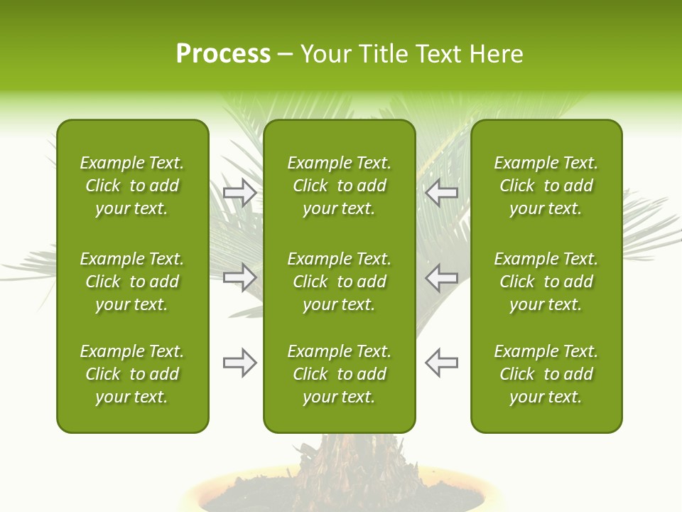 A Palm Tree With A White Background PowerPoint Template