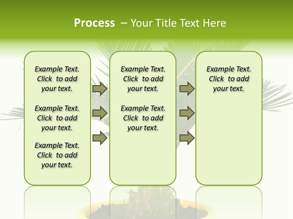 A Palm Tree With A White Background PowerPoint Template