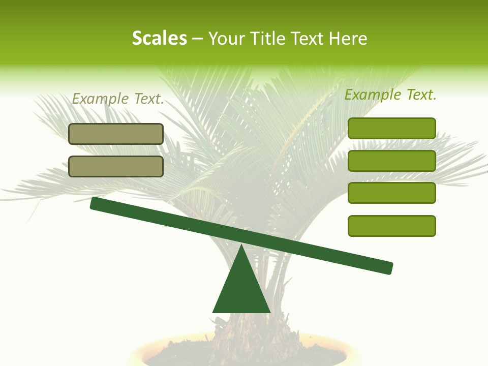 A Palm Tree With A White Background PowerPoint Template
