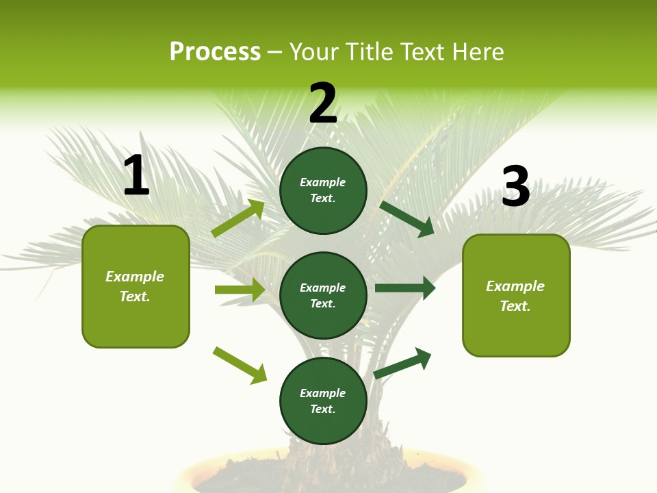 A Palm Tree With A White Background PowerPoint Template