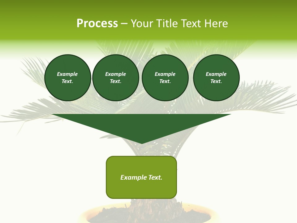 A Palm Tree With A White Background PowerPoint Template