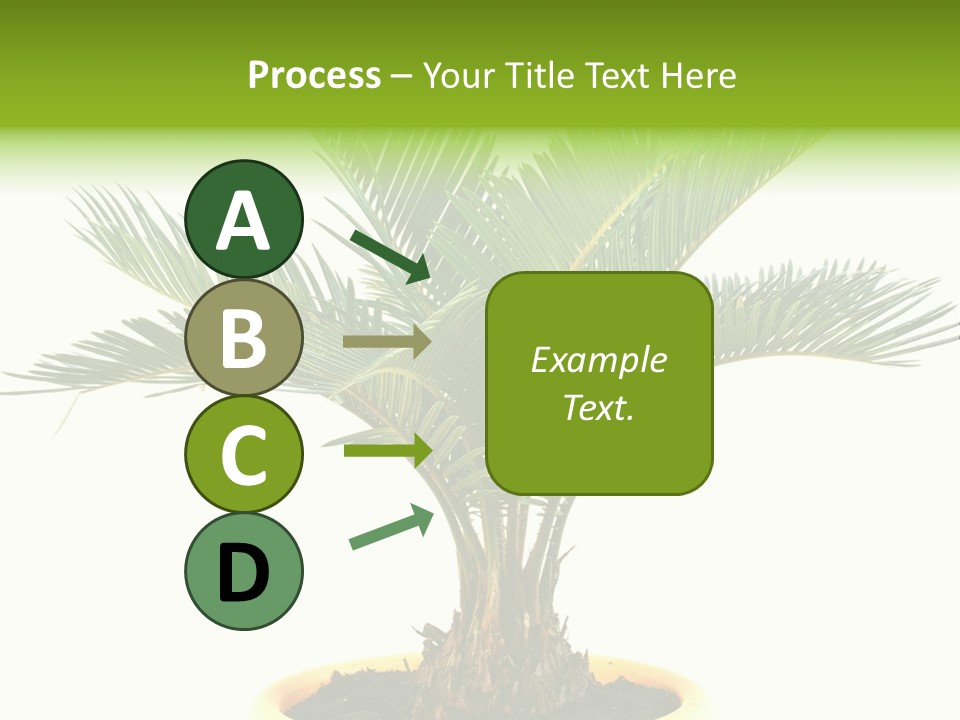 A Palm Tree With A White Background PowerPoint Template