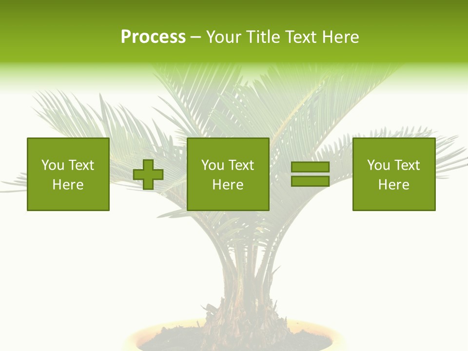 A Palm Tree With A White Background PowerPoint Template