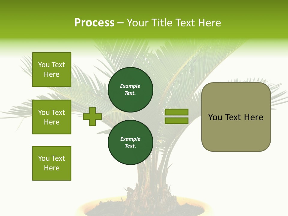 A Palm Tree With A White Background PowerPoint Template