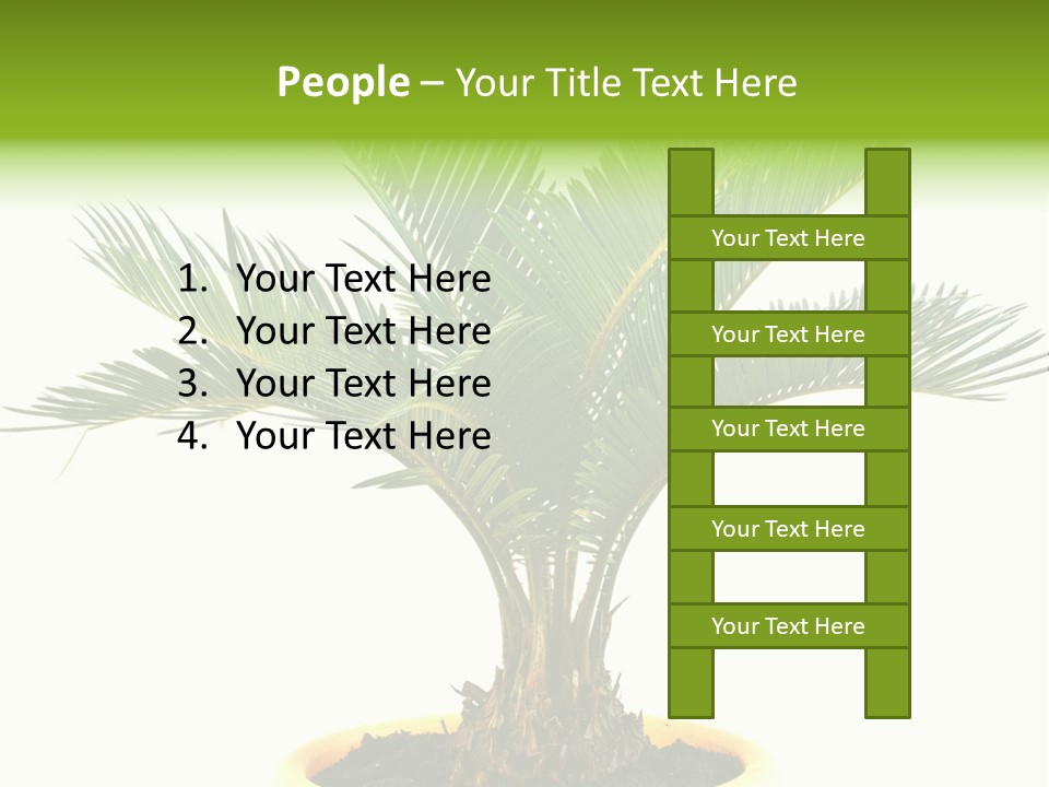 A Palm Tree With A White Background PowerPoint Template