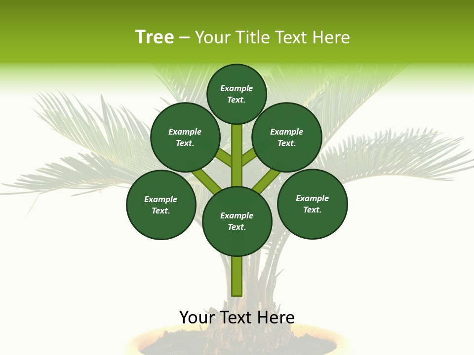 A Palm Tree With A White Background PowerPoint Template