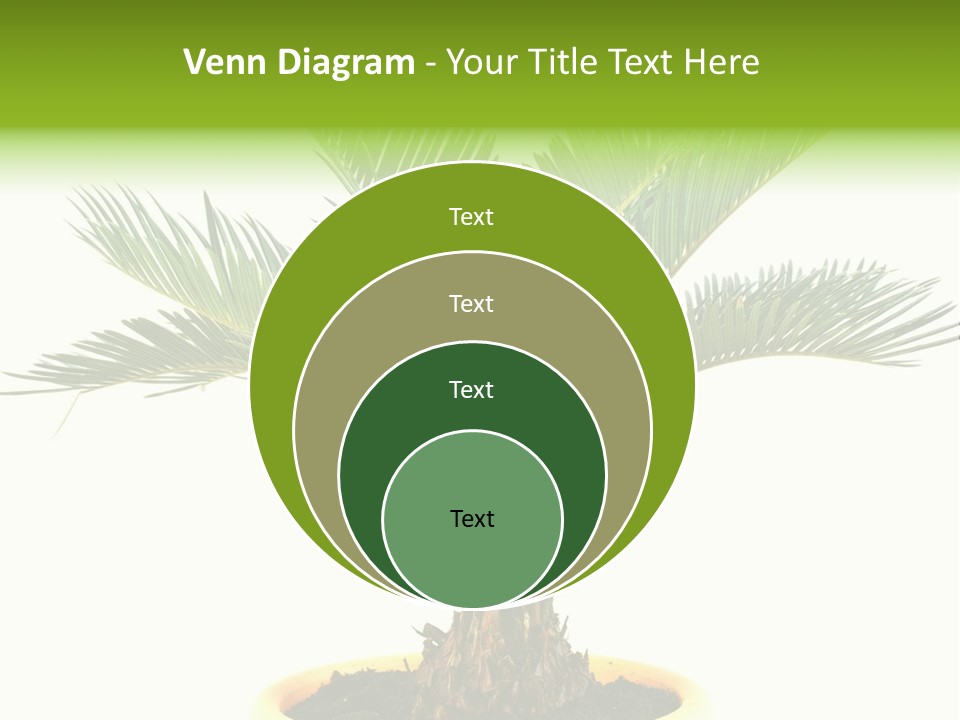 A Palm Tree With A White Background PowerPoint Template
