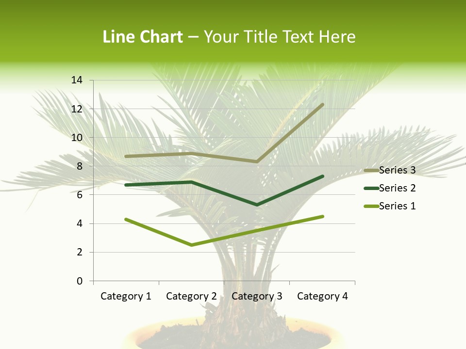 A Palm Tree With A White Background PowerPoint Template