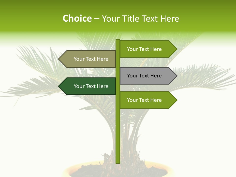 A Palm Tree With A White Background PowerPoint Template