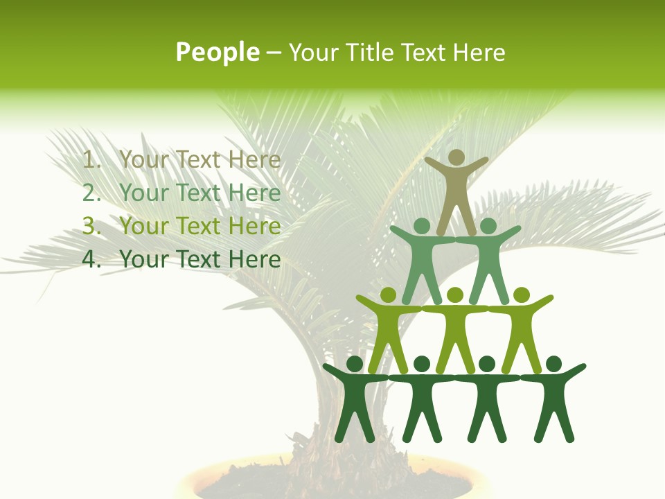 A Palm Tree With A White Background PowerPoint Template