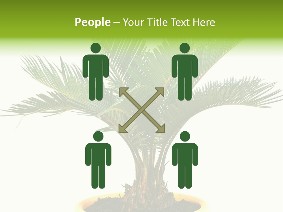 A Palm Tree With A White Background PowerPoint Template