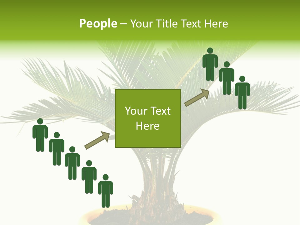 A Palm Tree With A White Background PowerPoint Template