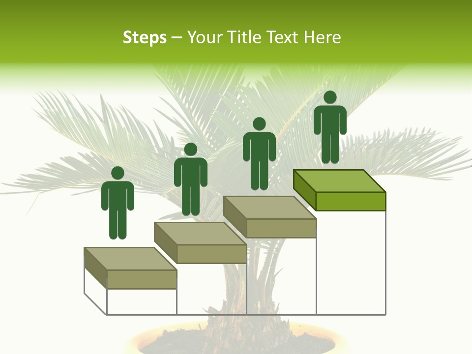 A Palm Tree With A White Background PowerPoint Template