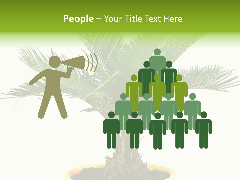 A Palm Tree With A White Background PowerPoint Template