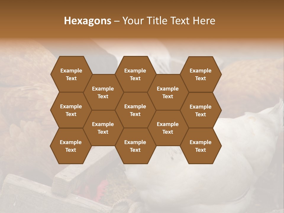 Fauna Fertility Agriculture PowerPoint Template