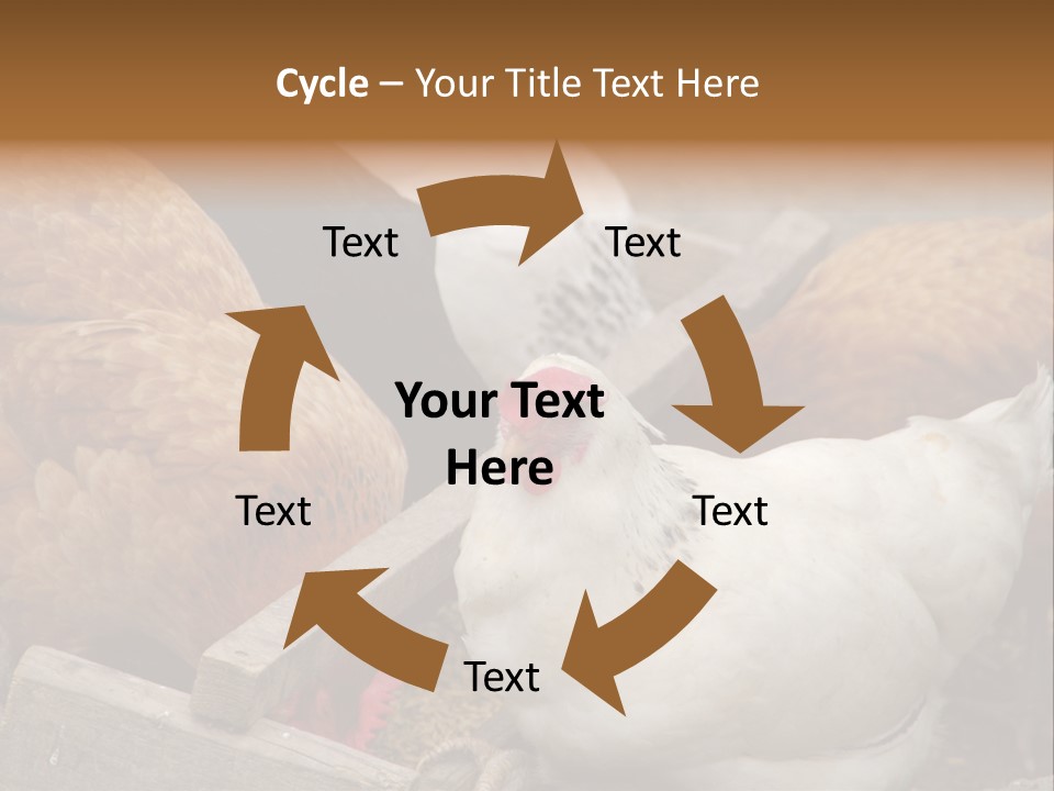 Fauna Fertility Agriculture PowerPoint Template