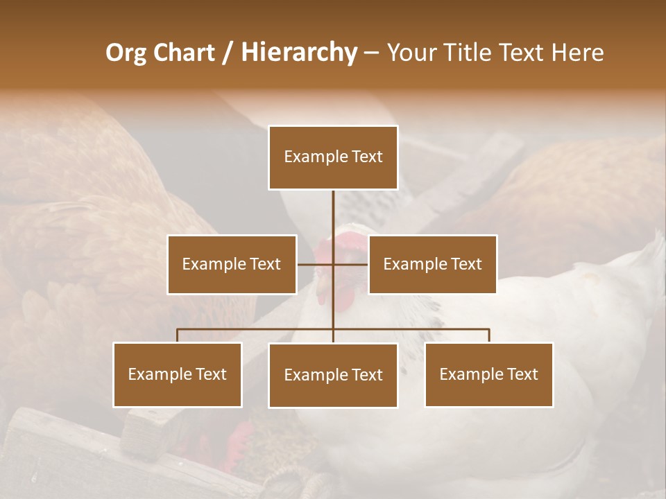 Fauna Fertility Agriculture PowerPoint Template