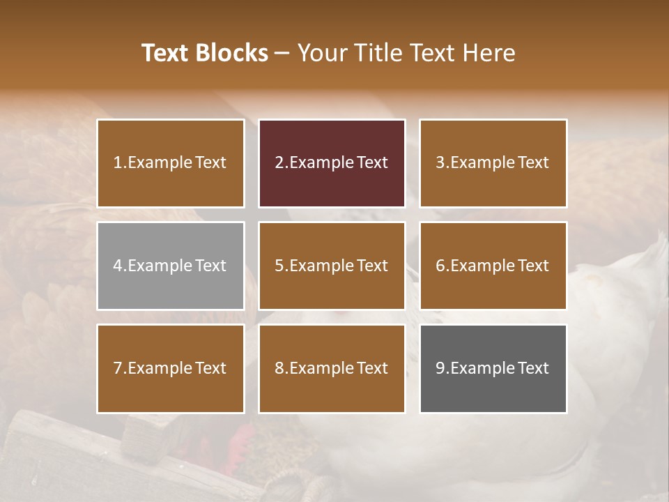 Fauna Fertility Agriculture PowerPoint Template