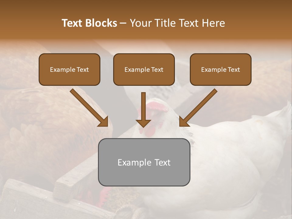 Fauna Fertility Agriculture PowerPoint Template