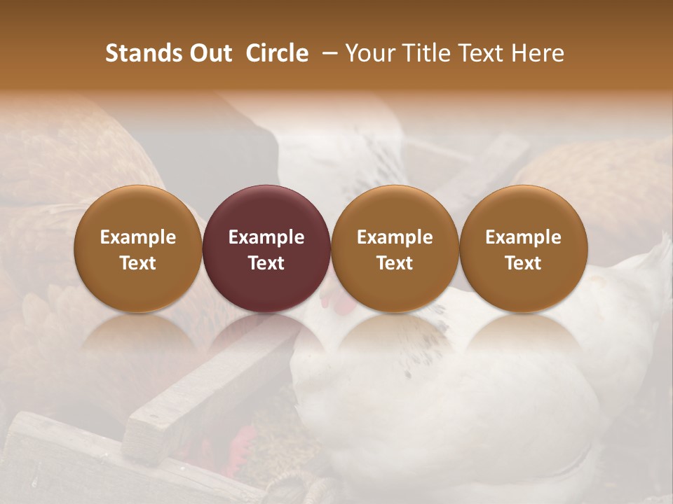 Fauna Fertility Agriculture PowerPoint Template