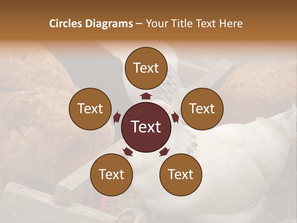 Fauna Fertility Agriculture PowerPoint Template