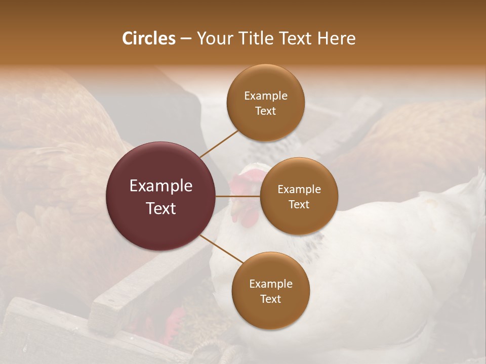 Fauna Fertility Agriculture PowerPoint Template