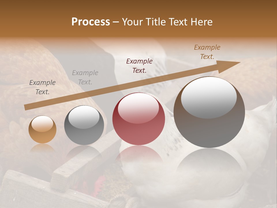 Fauna Fertility Agriculture PowerPoint Template