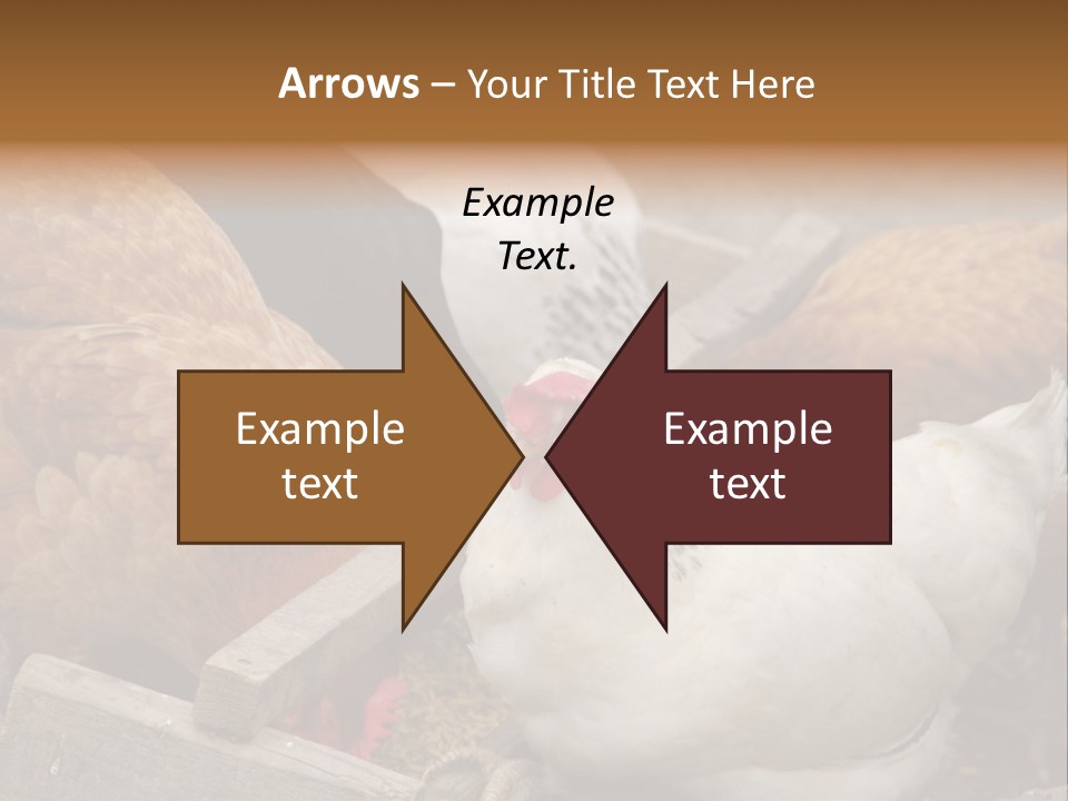 Fauna Fertility Agriculture PowerPoint Template