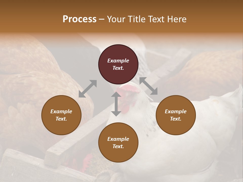 Fauna Fertility Agriculture PowerPoint Template