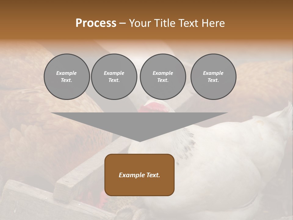 Fauna Fertility Agriculture PowerPoint Template