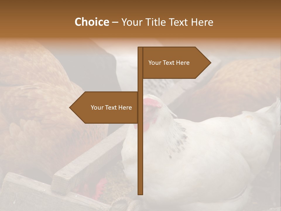 Fauna Fertility Agriculture PowerPoint Template