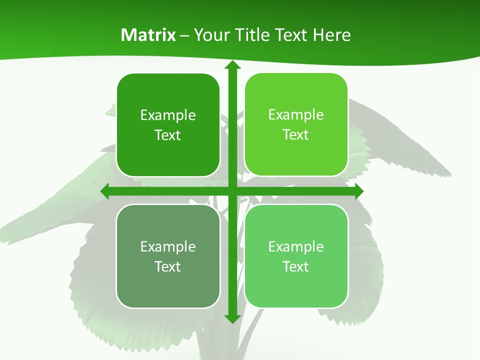 Focus White Happy PowerPoint Template