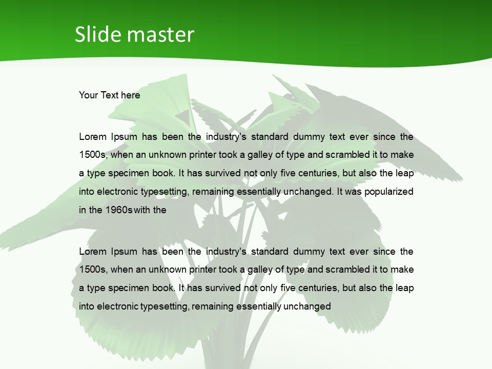 Focus White Happy PowerPoint Template