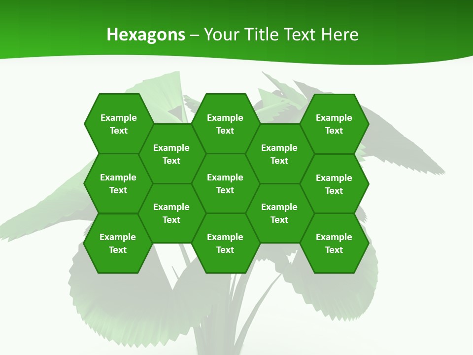 Focus White Happy PowerPoint Template