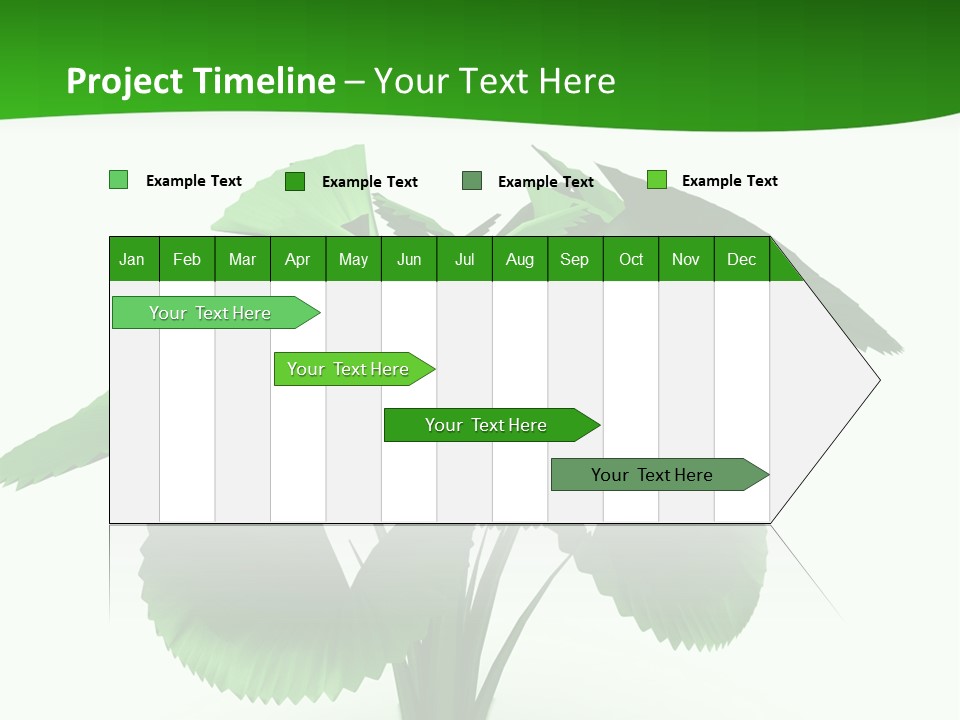 Focus White Happy PowerPoint Template