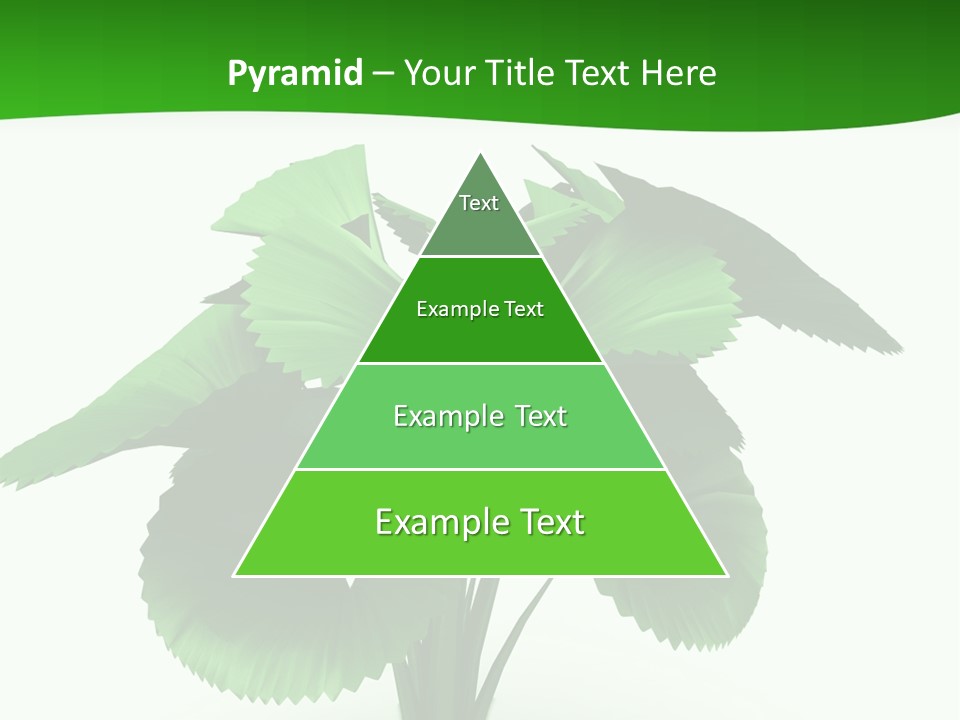 Focus White Happy PowerPoint Template