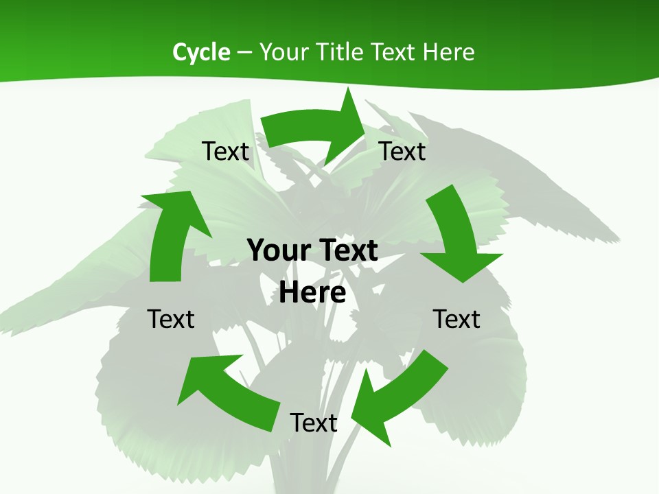 Focus White Happy PowerPoint Template