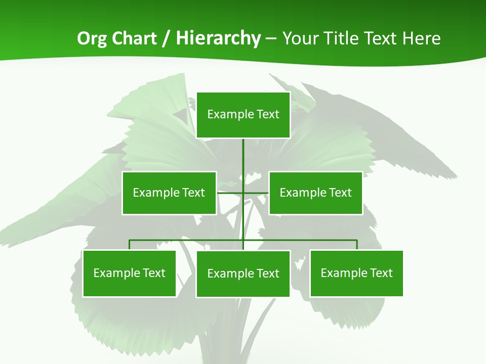 Focus White Happy PowerPoint Template