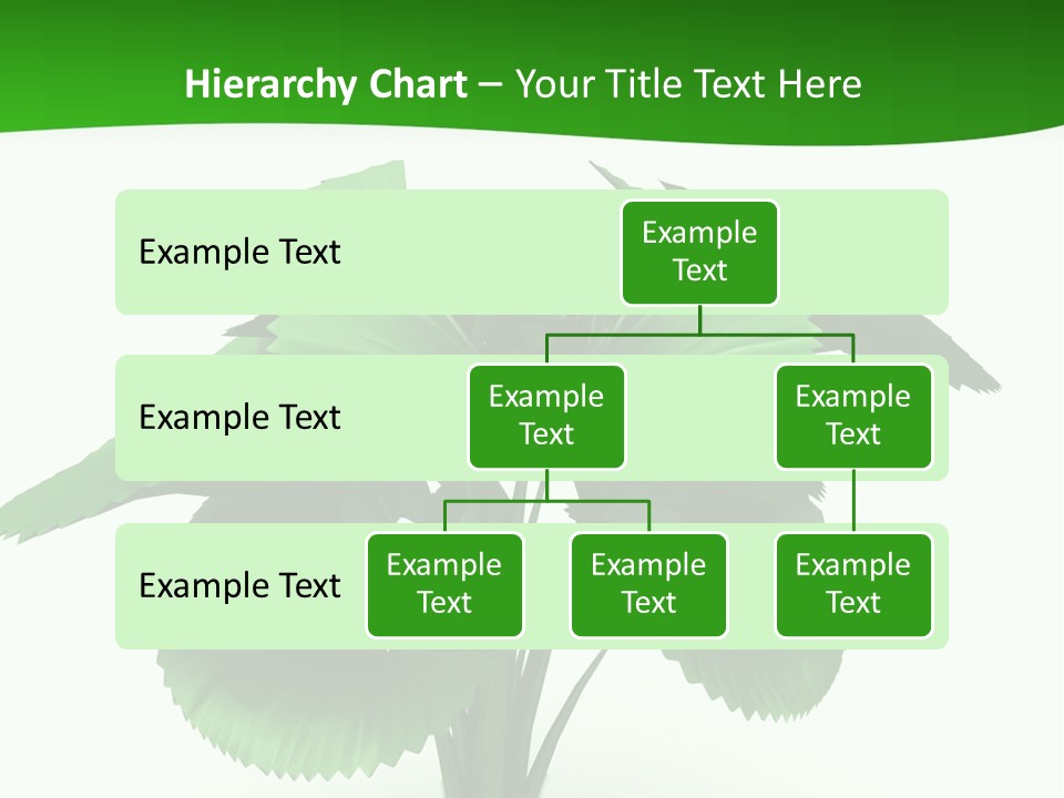 Focus White Happy PowerPoint Template