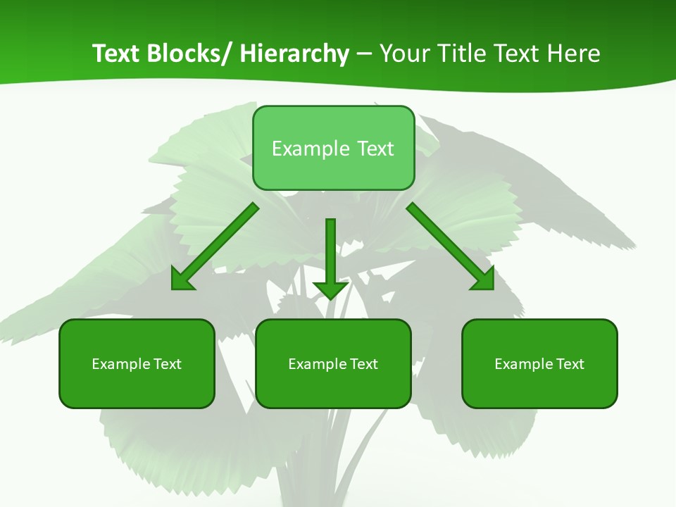 Focus White Happy PowerPoint Template