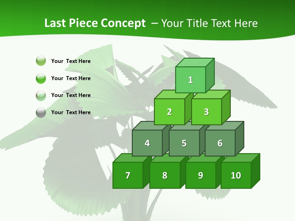 Focus White Happy PowerPoint Template