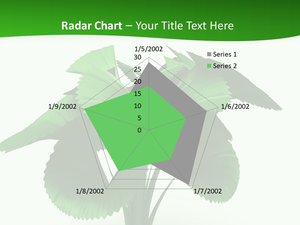 Focus White Happy PowerPoint Template